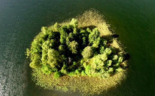 14_Gaidsale. G. Norvaiso n.jpg